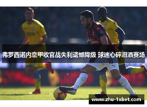 弗罗西诺内意甲收官战失利遗憾降级 球迷心碎泪洒赛场